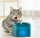 Fontaine à eau potable premium pour chat