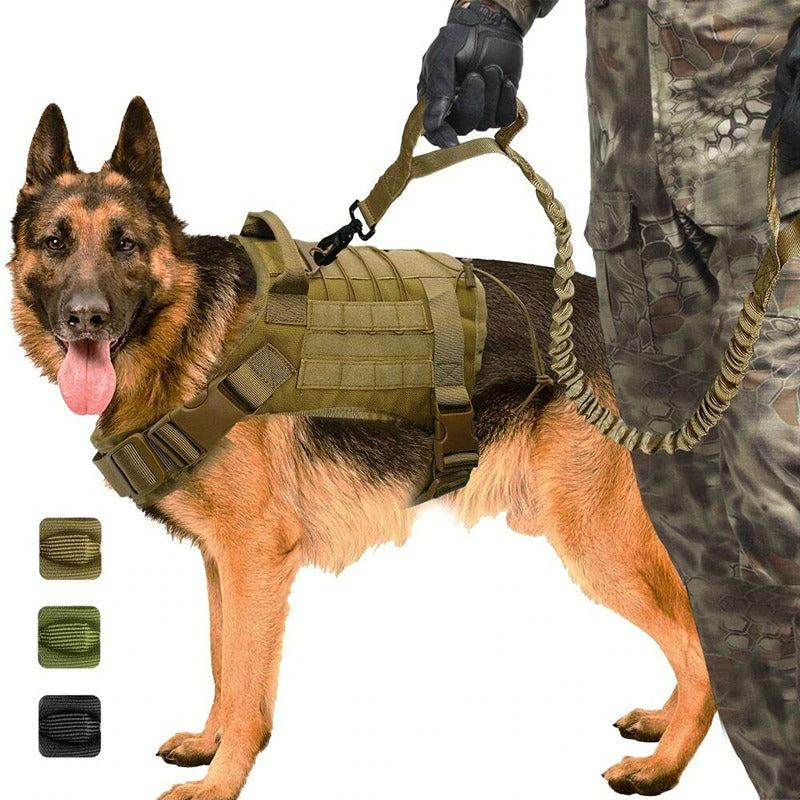 Hernaðarbelti v2